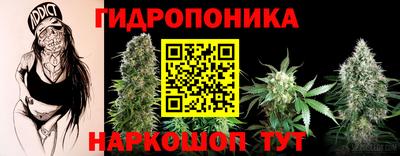 молекула духа Жуковский