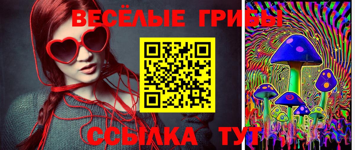 Галлюциногенные грибы MAGIC MUSHROOMS Магадан
